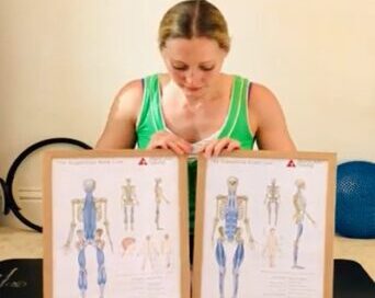 An introduction to your myofascial meridian.